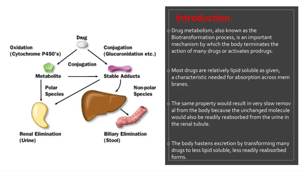 introduction