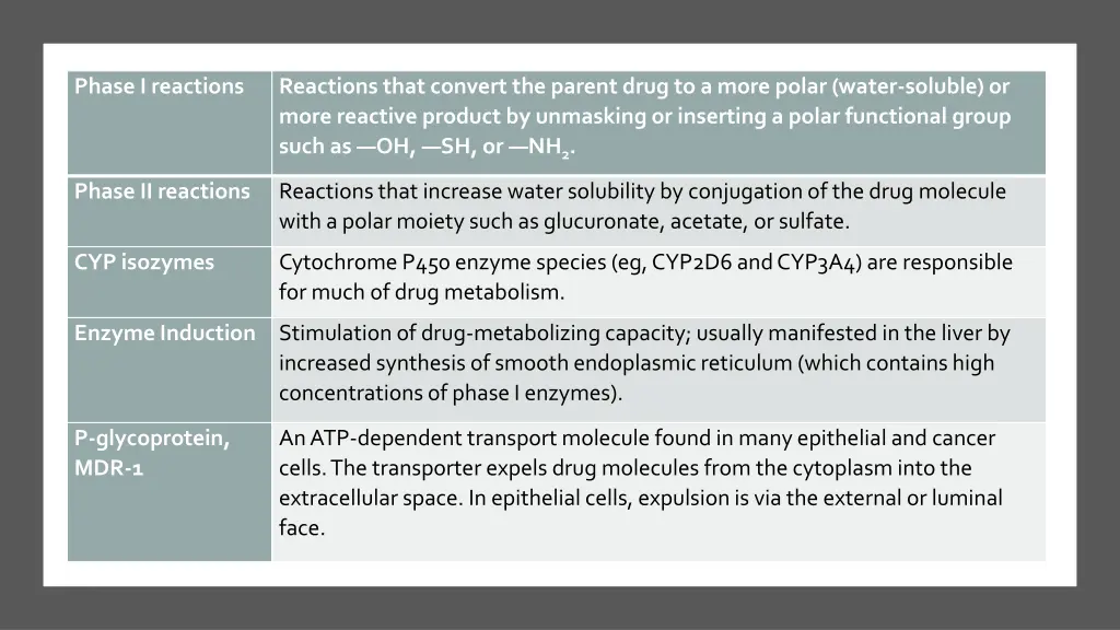 phase i reactions