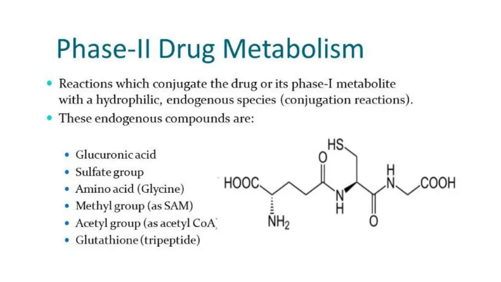 slide11
