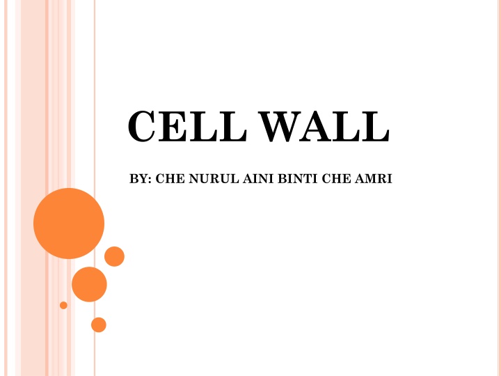 cell wall