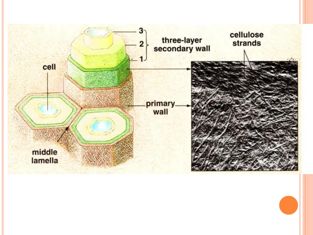 slide13