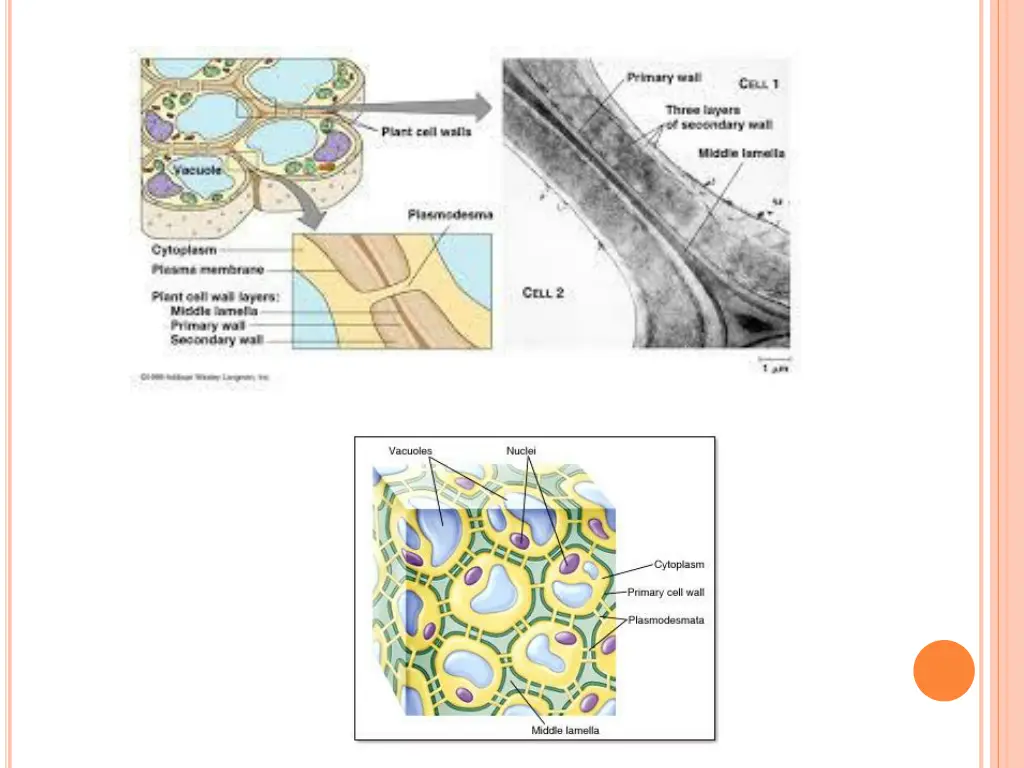 slide18
