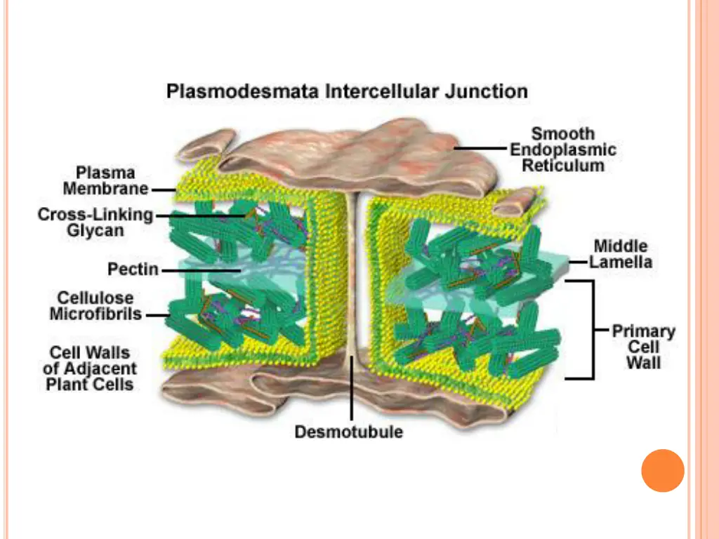 slide20