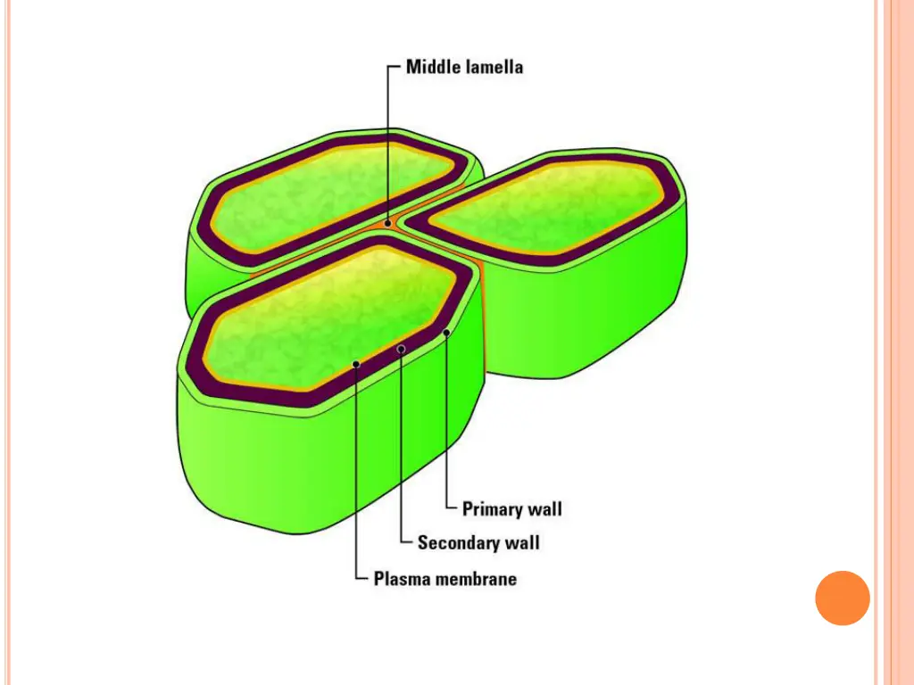 slide4