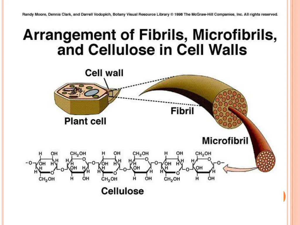 slide6