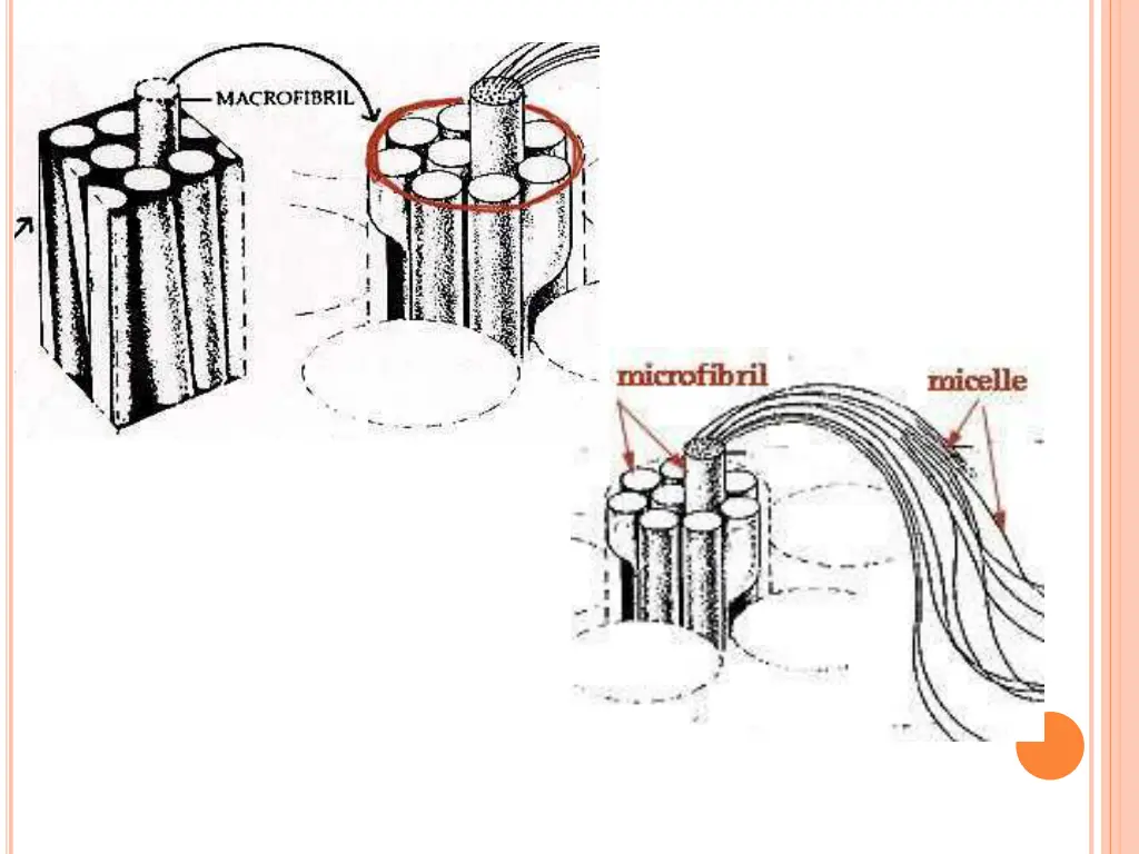 slide7