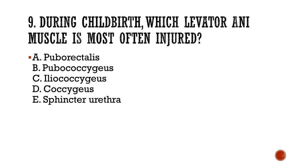9 during childbirth which levator ani muscle