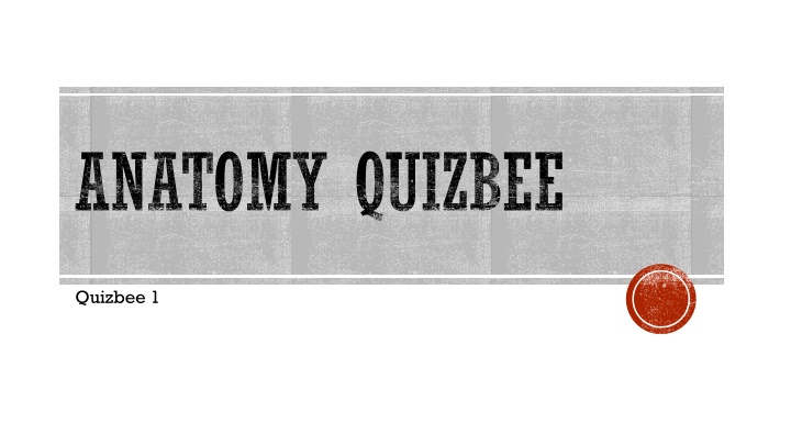 anatomy quizbee
