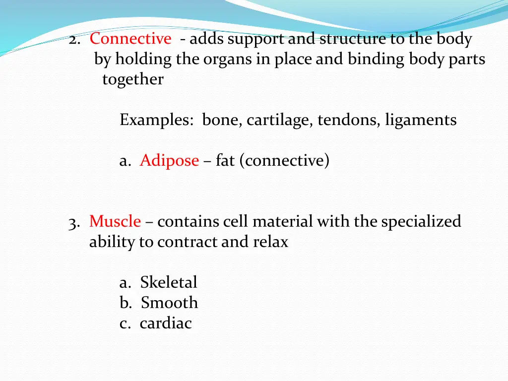 2 connective adds support and structure