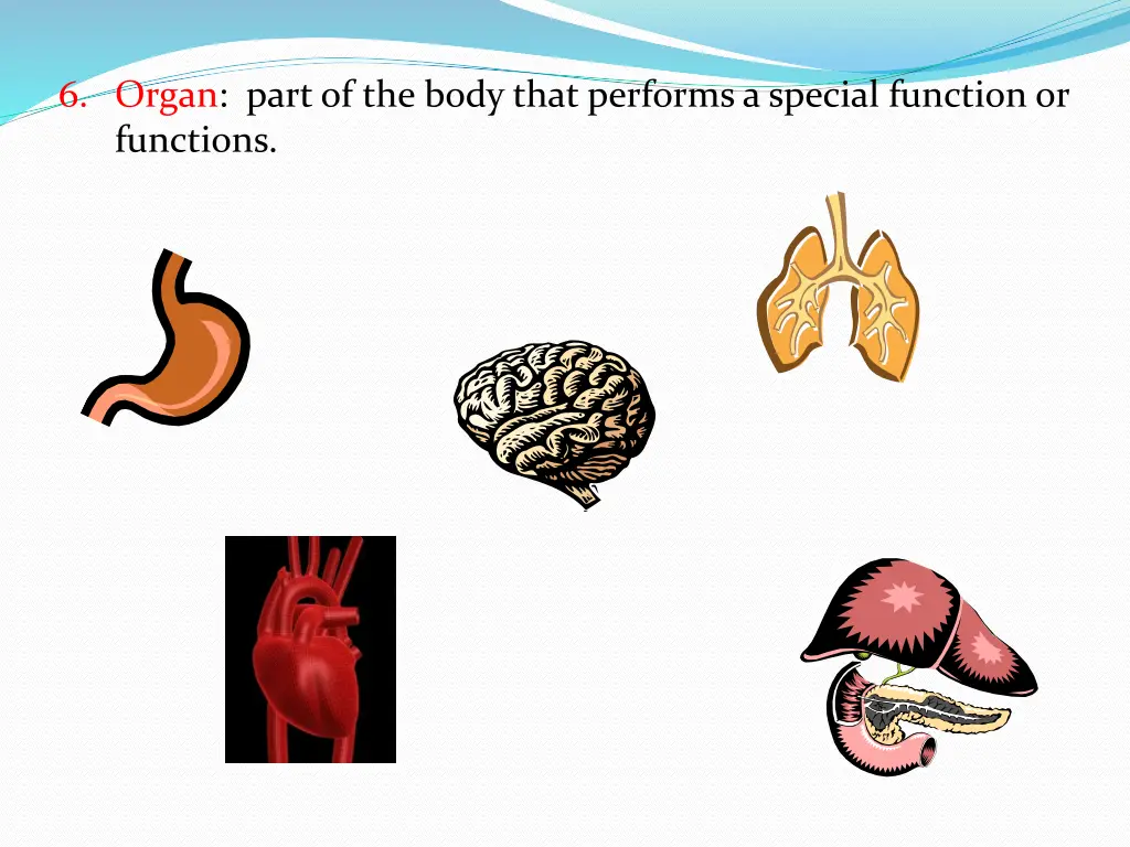 6 organ part of the body that performs a special