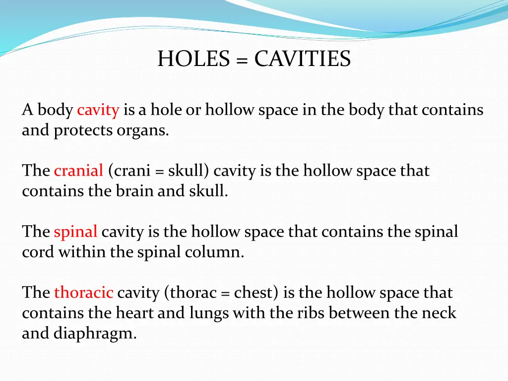 holes cavities