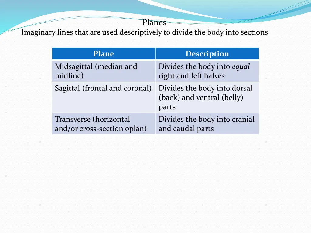planes
