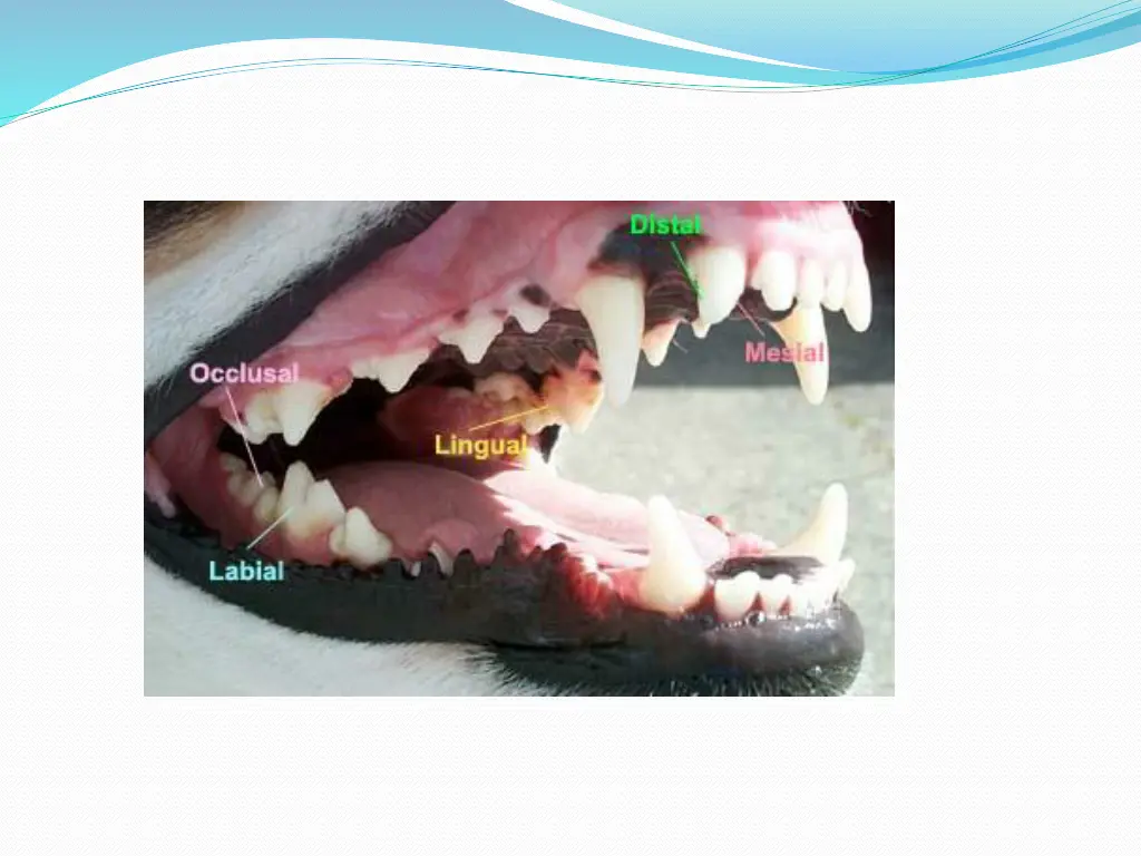slide16