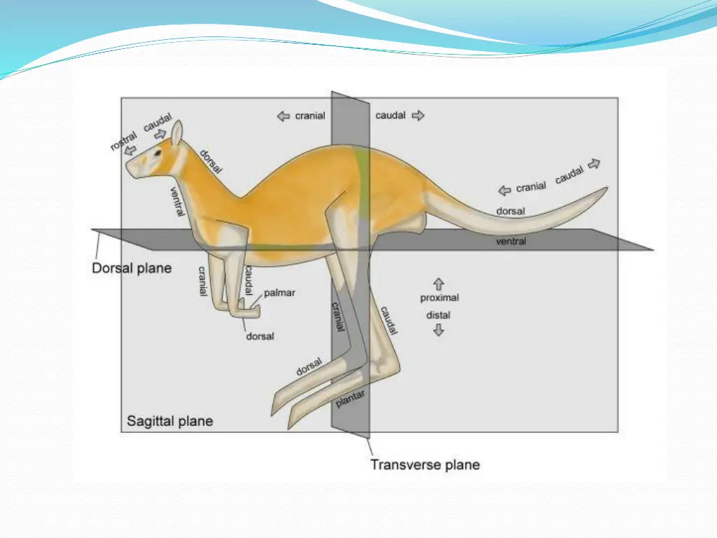 slide6