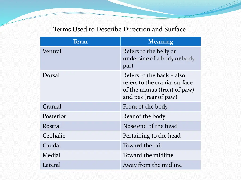 terms used to describe direction and surface