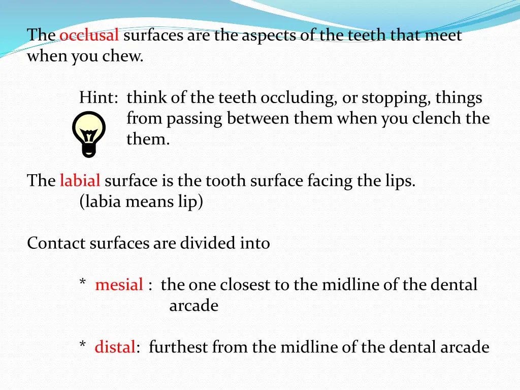 the occlusal surfaces are the aspects