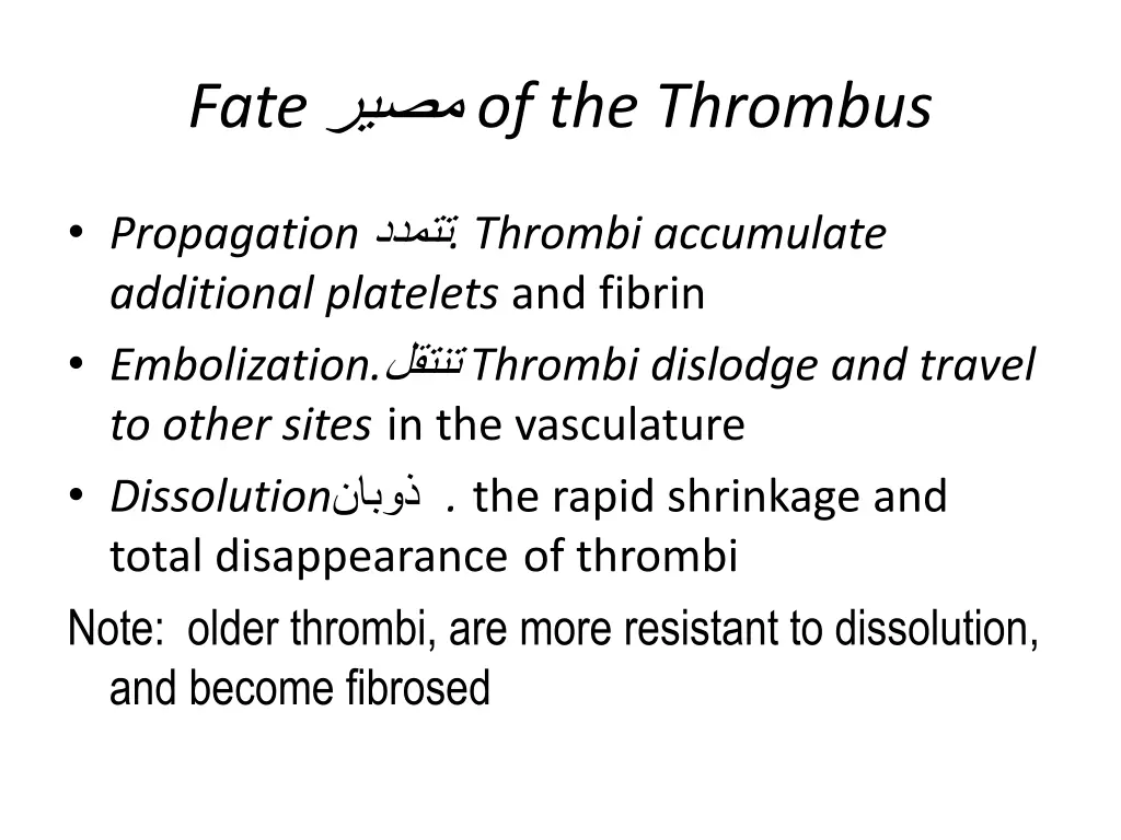 fate of the thrombus