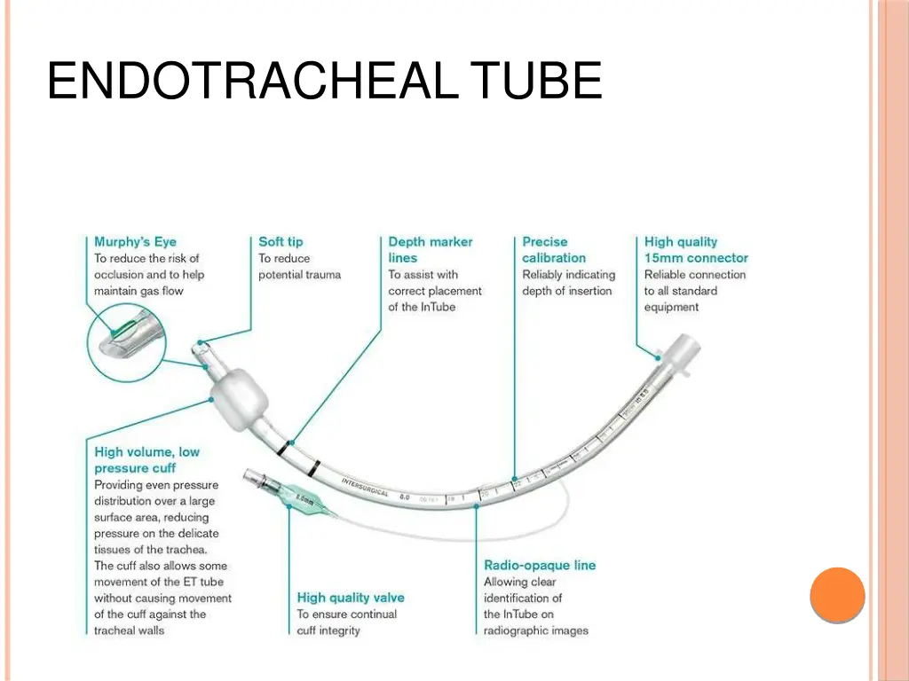 endotrachealtube