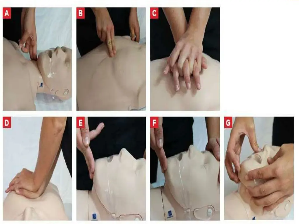 slide14