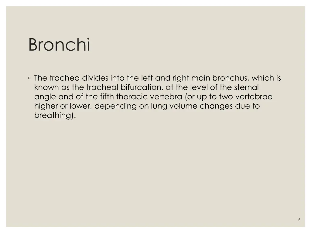 bronchi 1