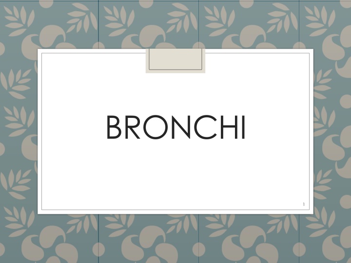 bronchi