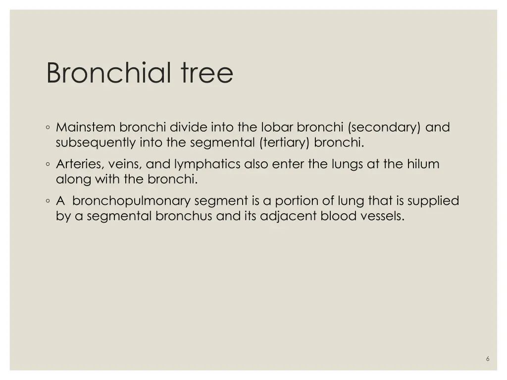 bronchial tree