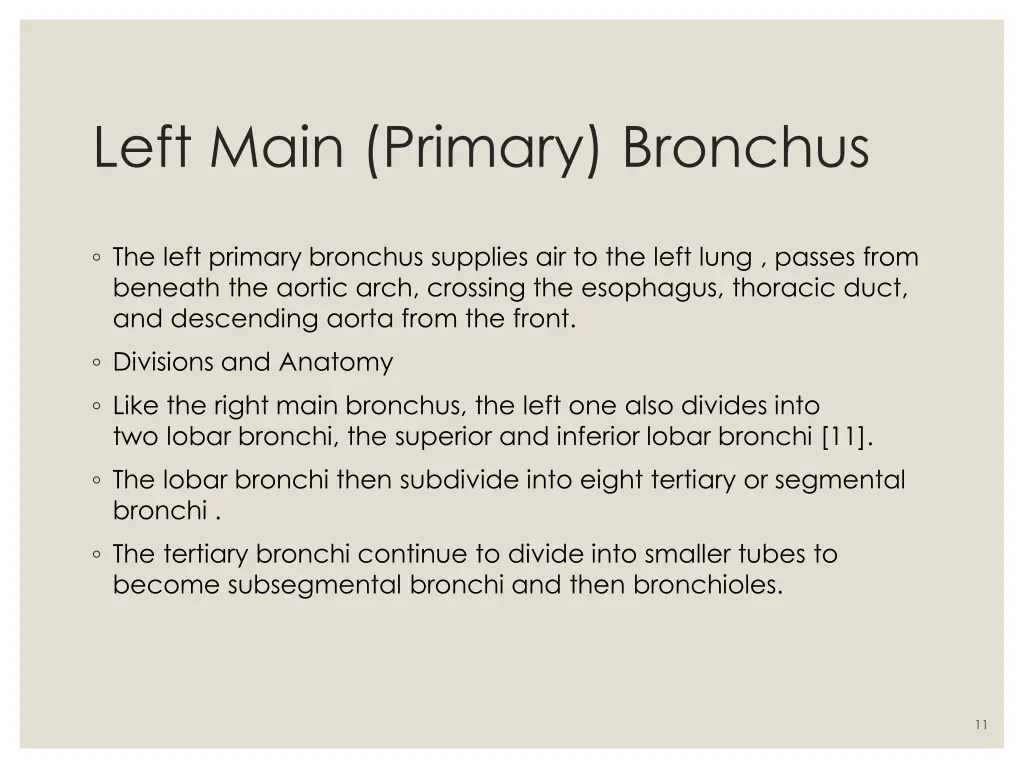 left main primary bronchus