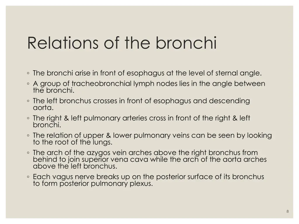 relations of the bronchi