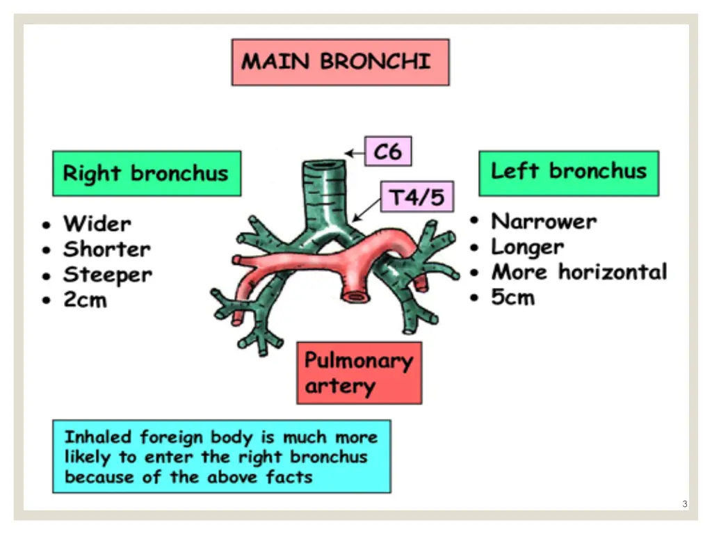 slide3