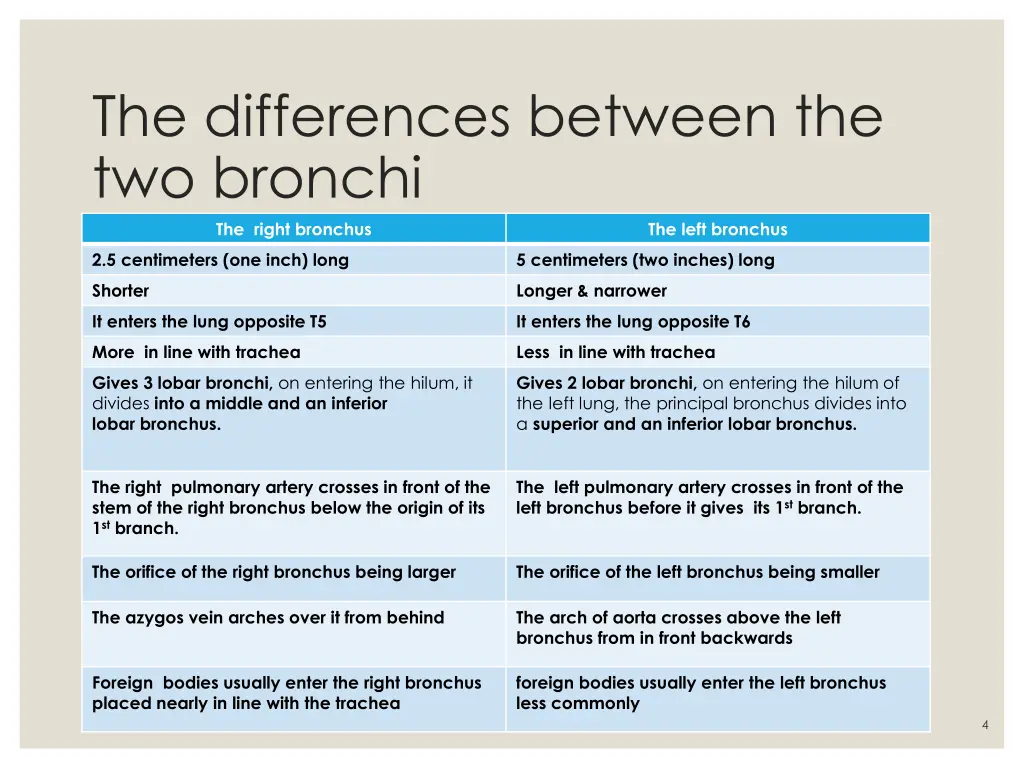 the differences between the two bronchi the right