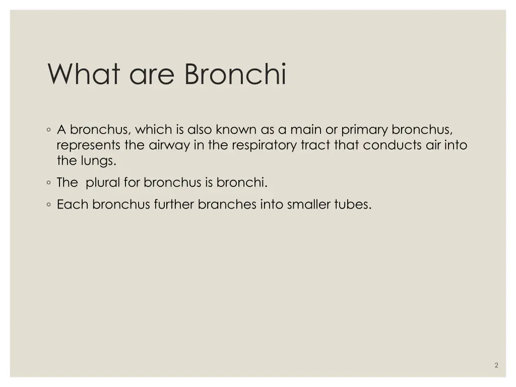 what are bronchi