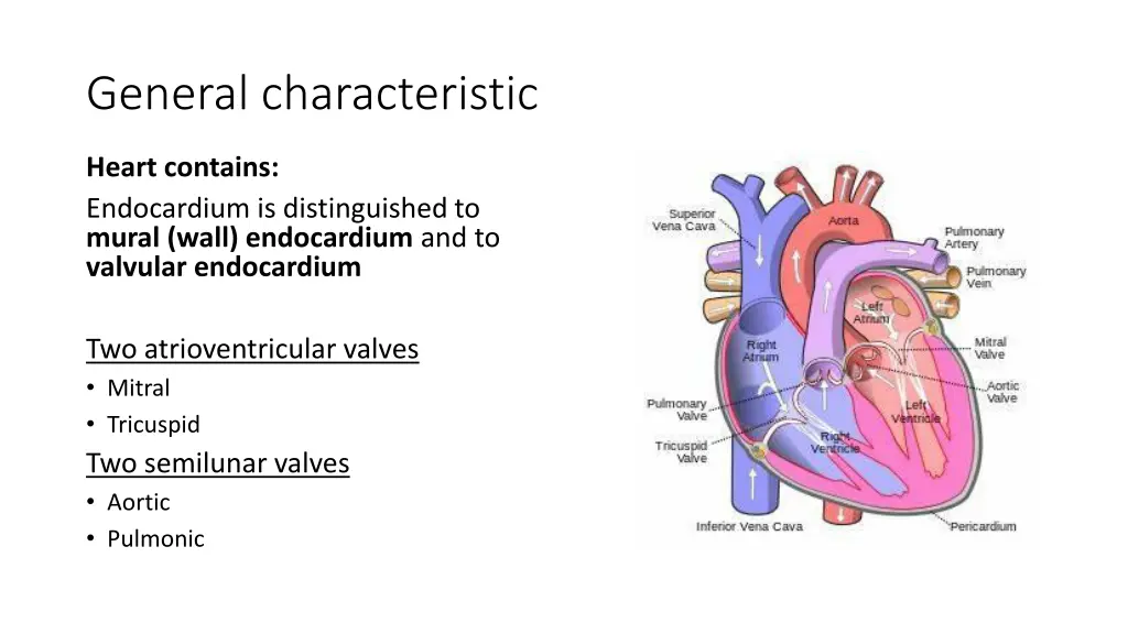 general characteristic