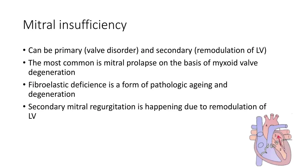 mitral insufficiency