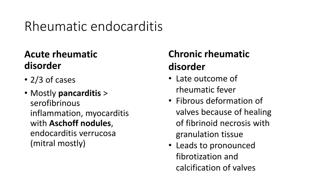 rheumatic endocarditis