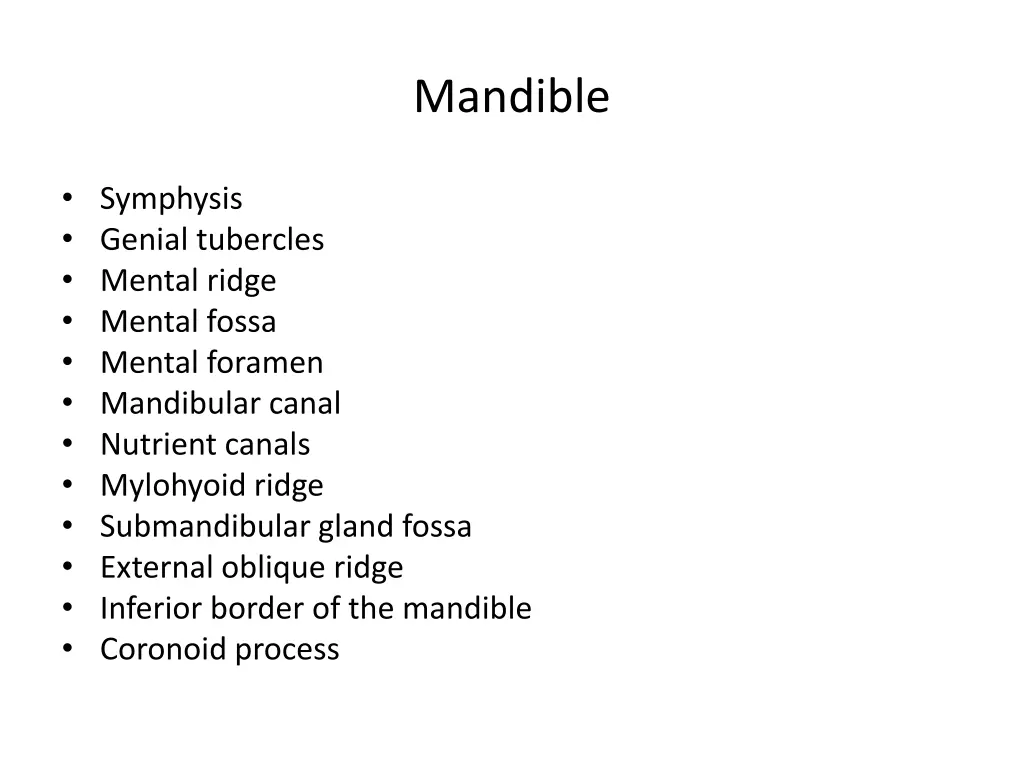 mandible