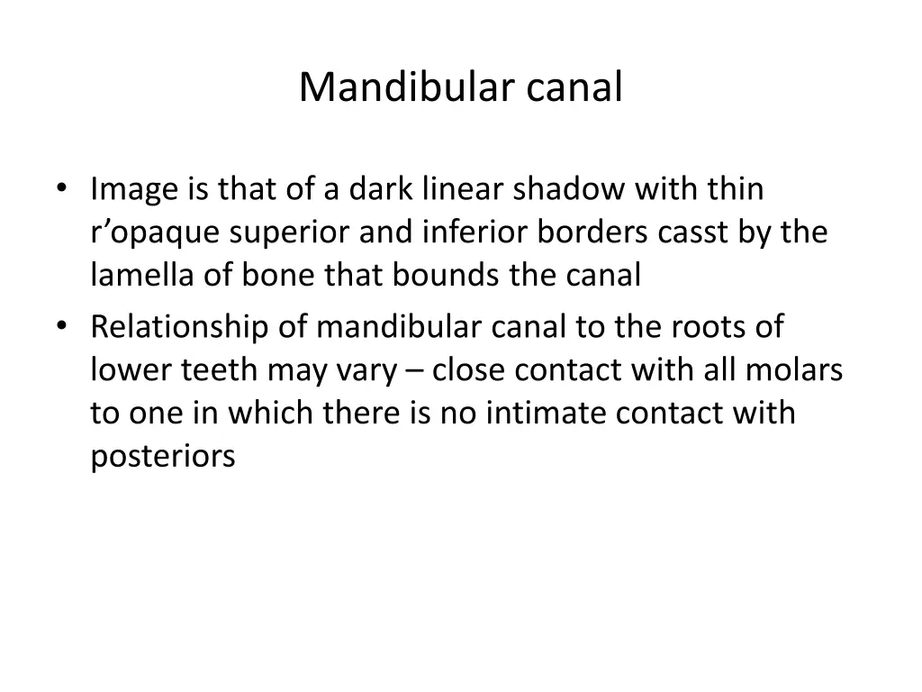 mandibular canal
