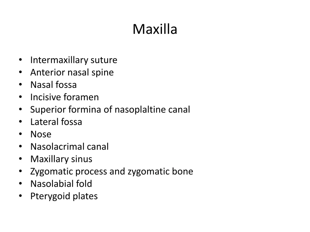 maxilla