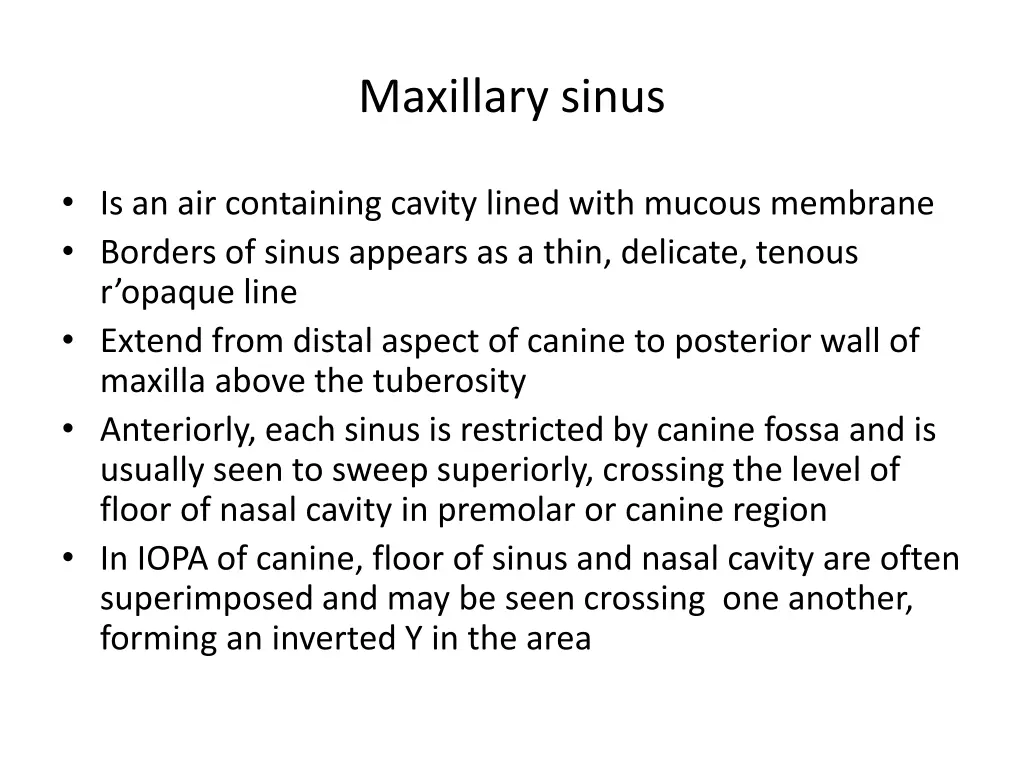 maxillary sinus