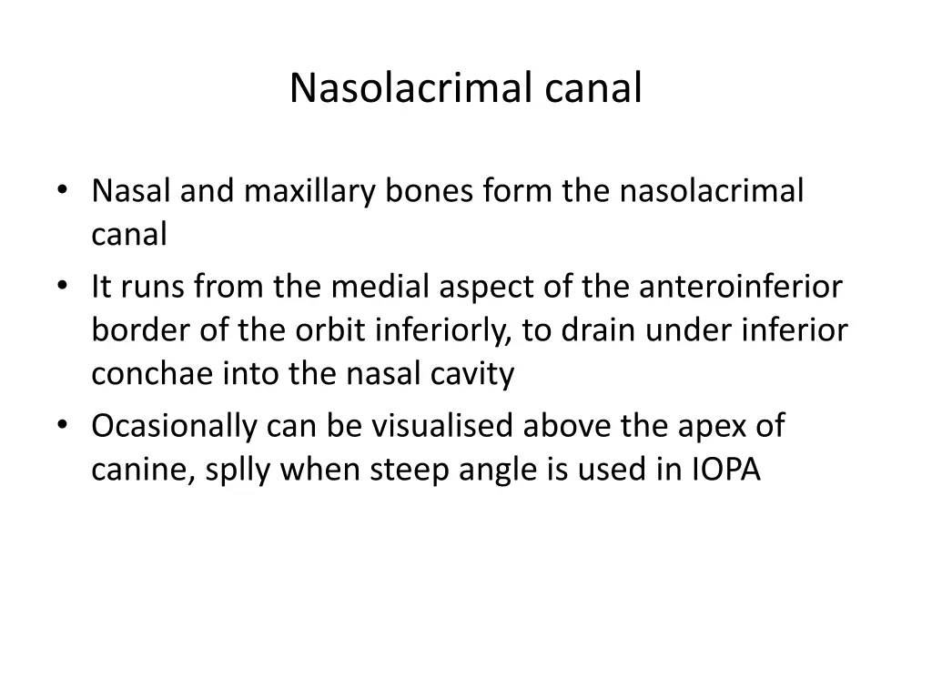 nasolacrimal canal