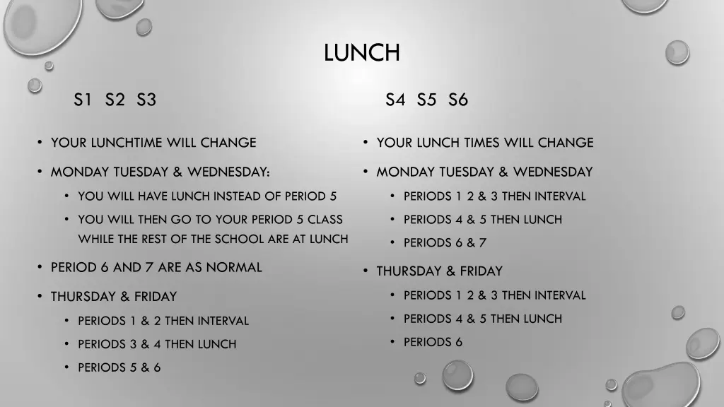 lunch
