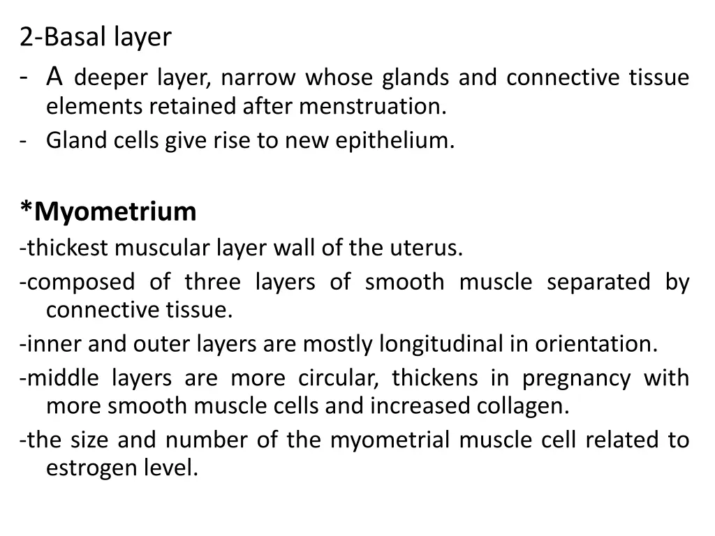 2 basal layer a deeper layer narrow whose glands 1