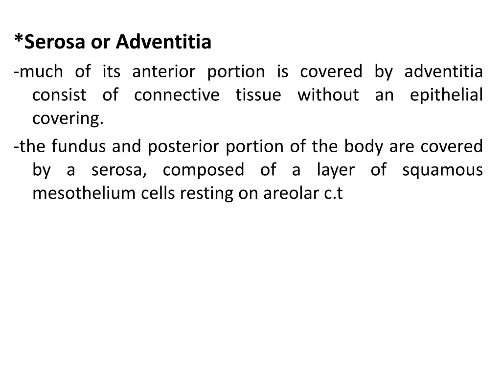 serosa or adventitia much of its anterior portion