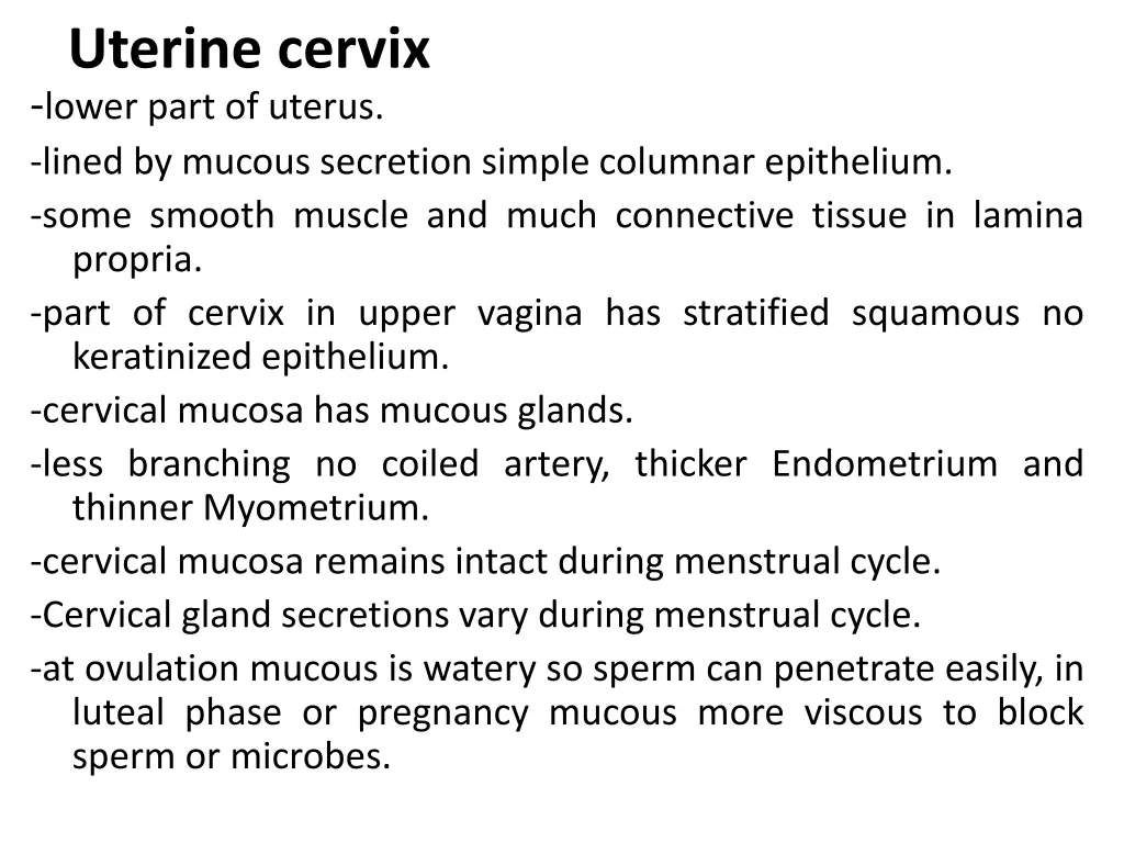 uterine cervix lower part of uterus lined