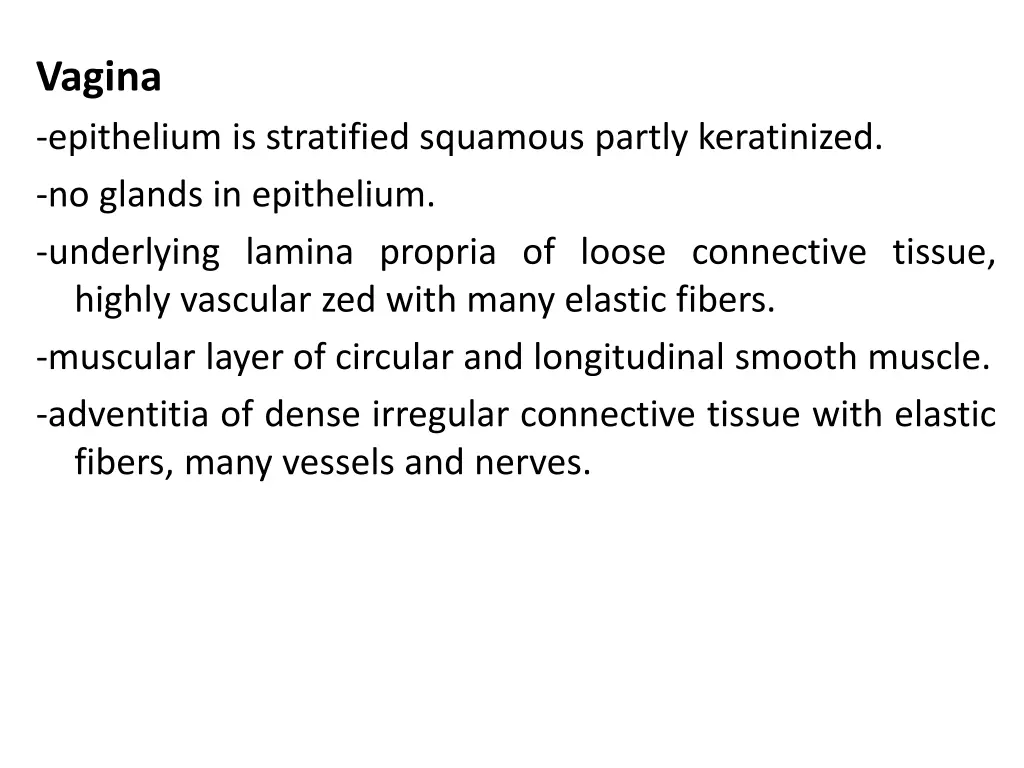 vagina epithelium is stratified squamous partly