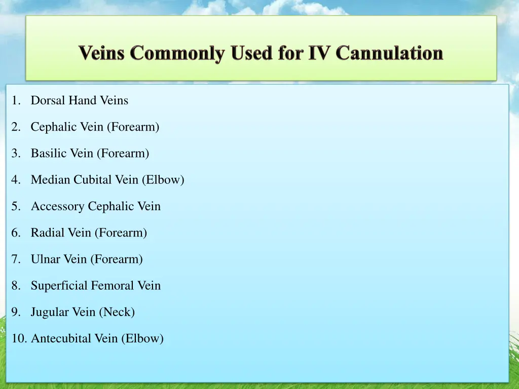 1 dorsal hand veins