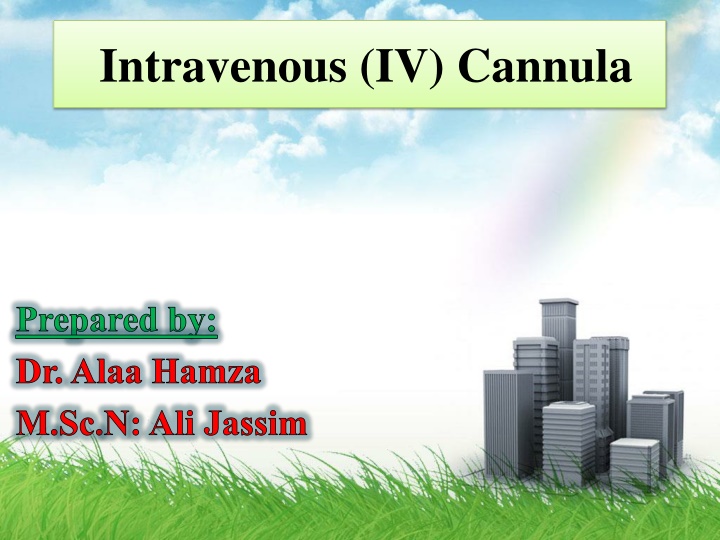 intravenous iv cannula
