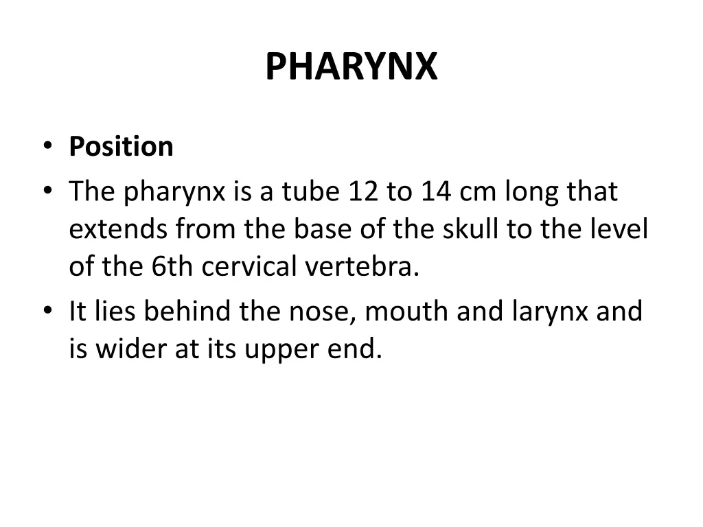 pharynx