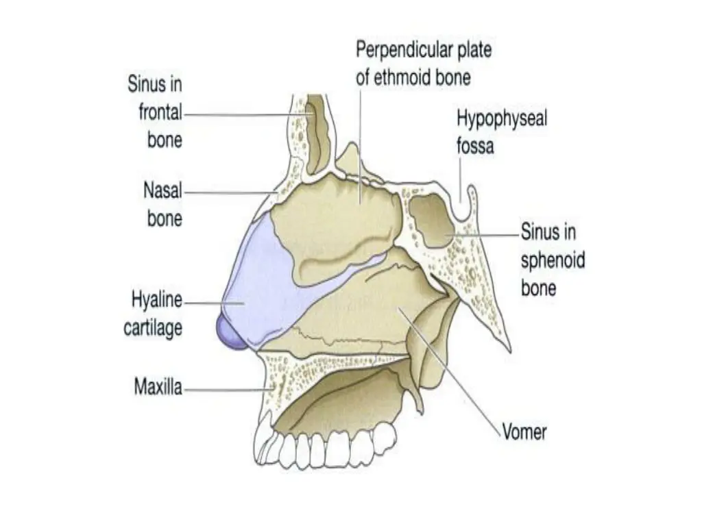 slide6