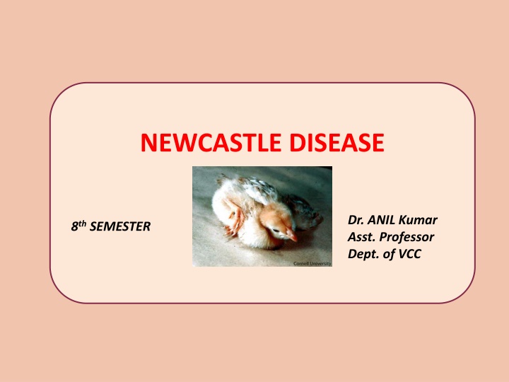 newcastle disease