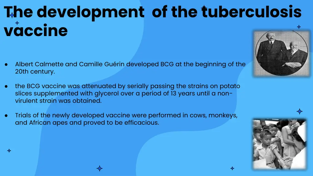 the development of the tuberculosis vaccine